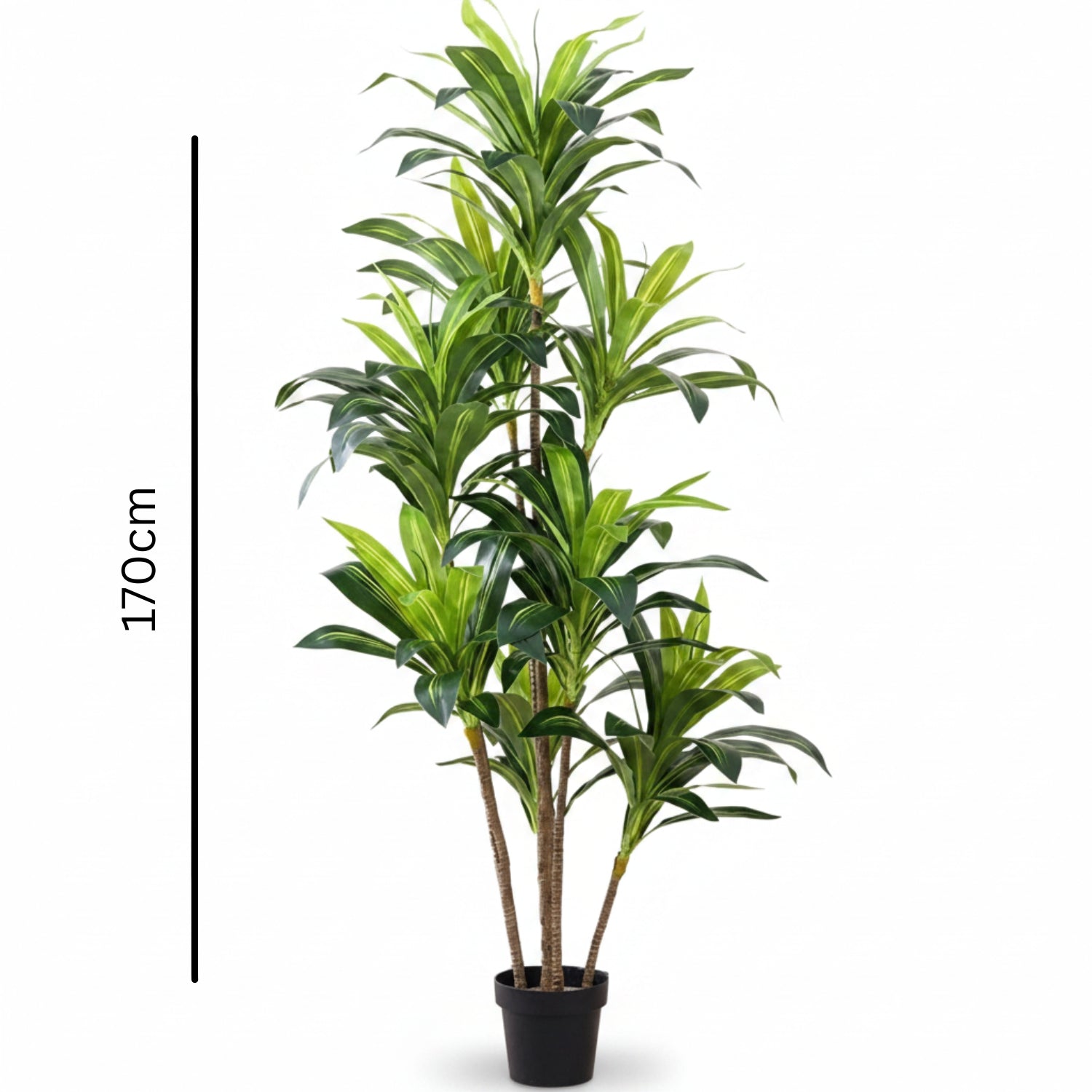 Tall artificial green plant with multiple leafy stems in a black pot, shown on a white background with a vertical 170cm height marker.