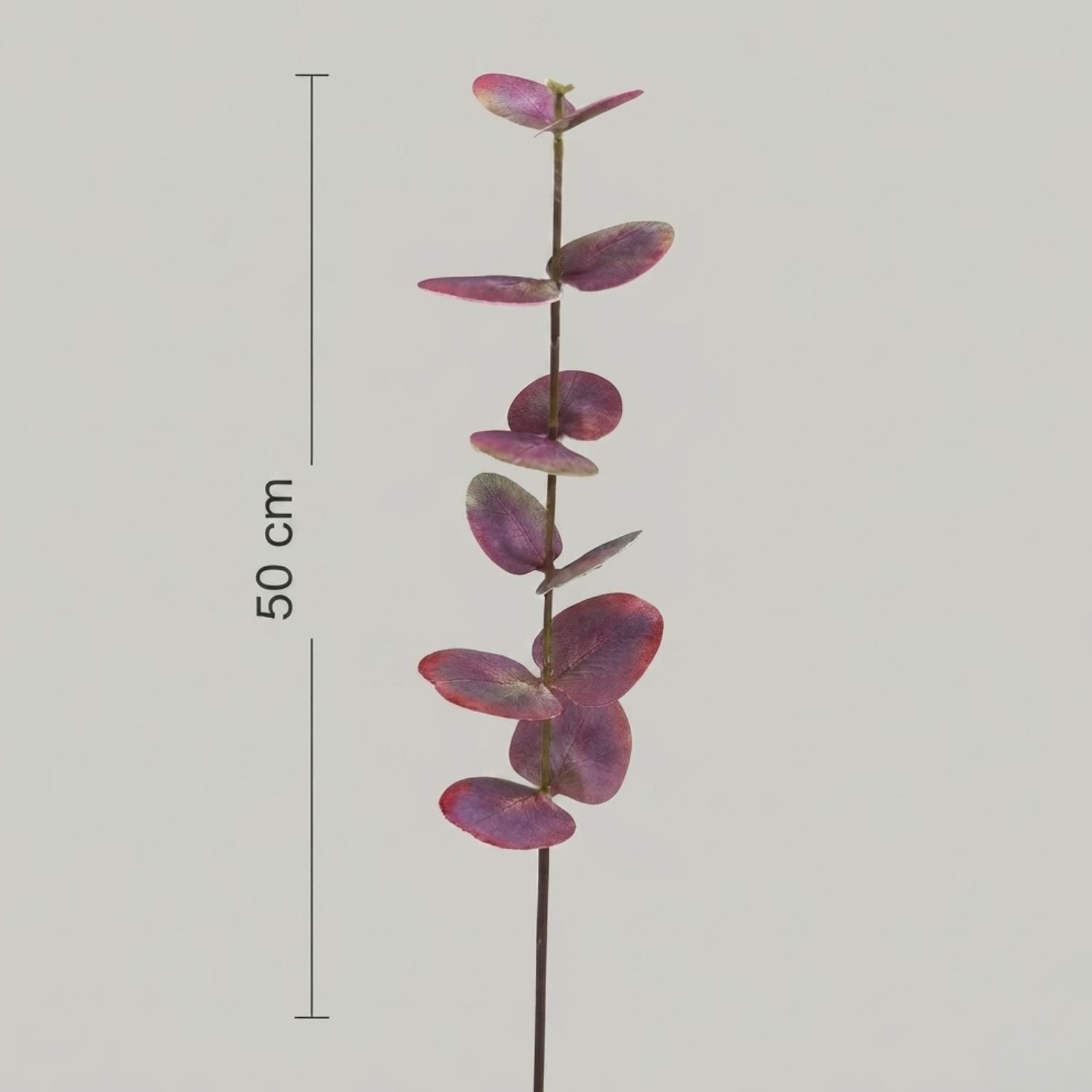 Add a touch of rich, moody colour to your home with these stunning artificial red eucalyptus stems. Each stem measures 50 cm and features beautifully detailed oval leaves in deep burgundy and plum tones — perfect for styling in vases, arrangements, or as standalone décor accents.