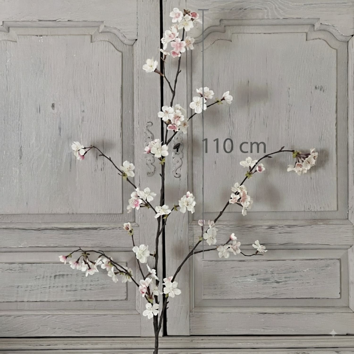 Single cherry blossom stem showing 110cm height measurement