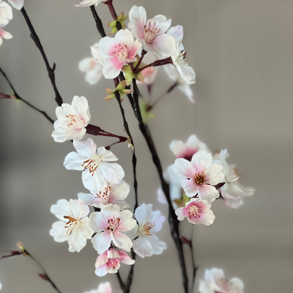 Cherry blossom stems in large white floor vase in living room