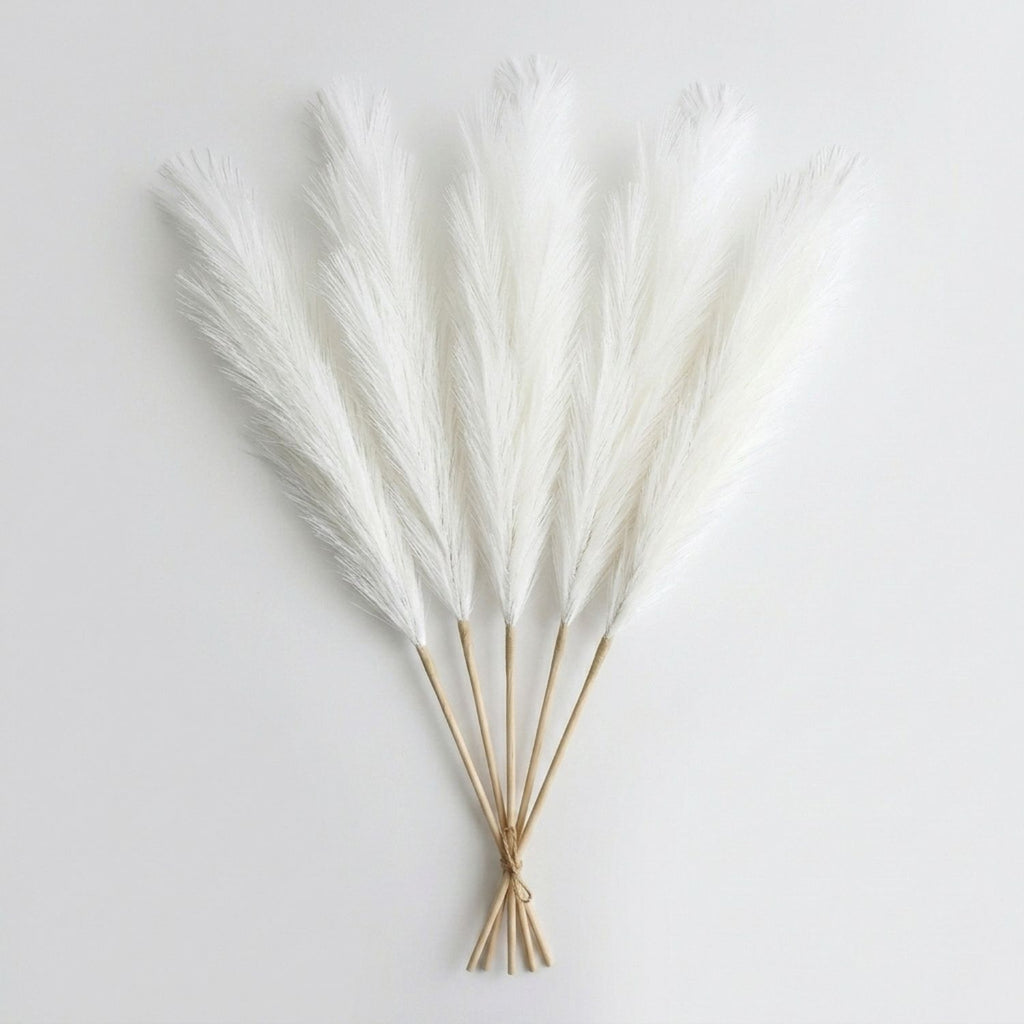 Close-up of fluffy white pampas grass plume detail