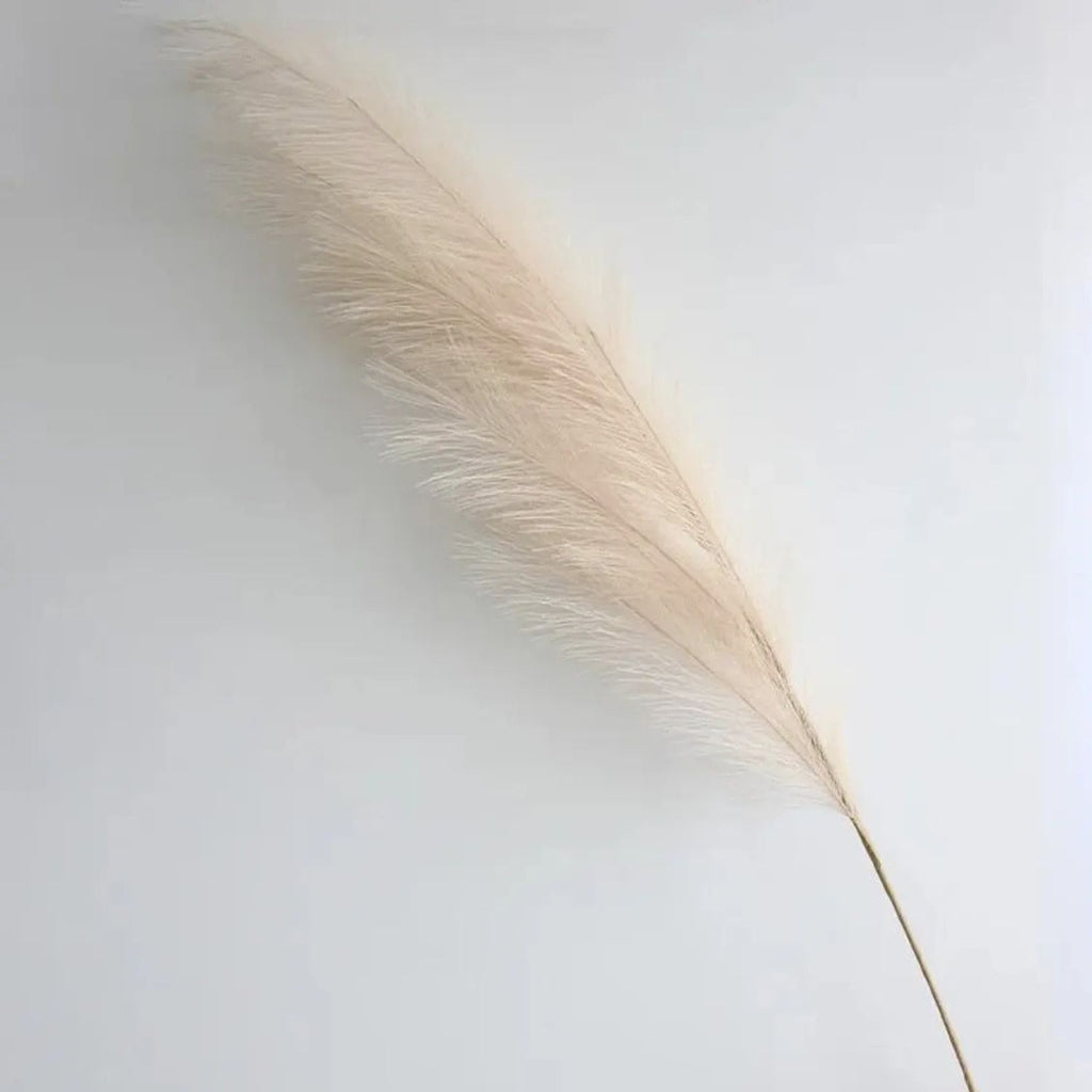 Beige pampas grass stems in white sculptural floor vase in neutral living room