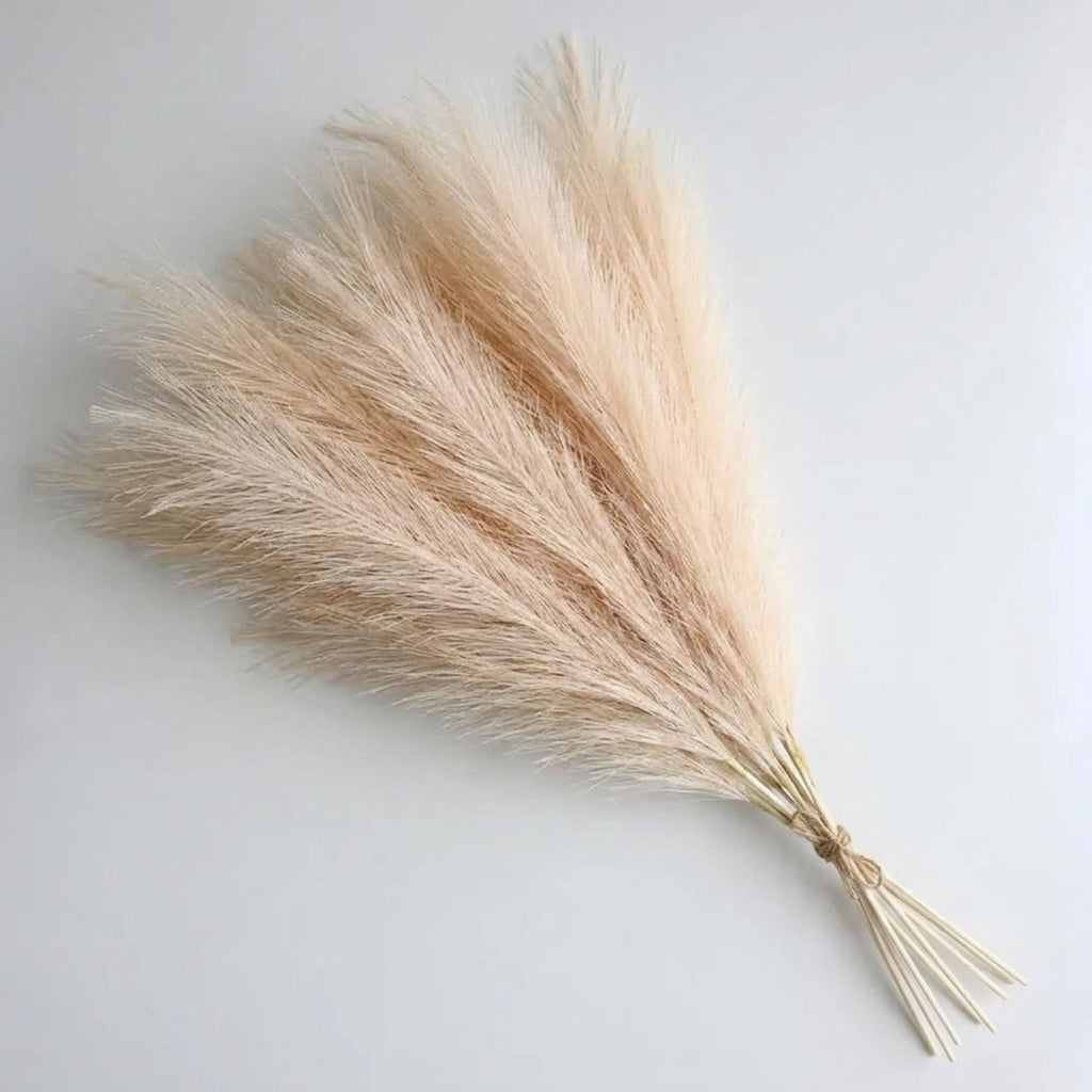 Close-up of fluffy beige pampas grass plume detail