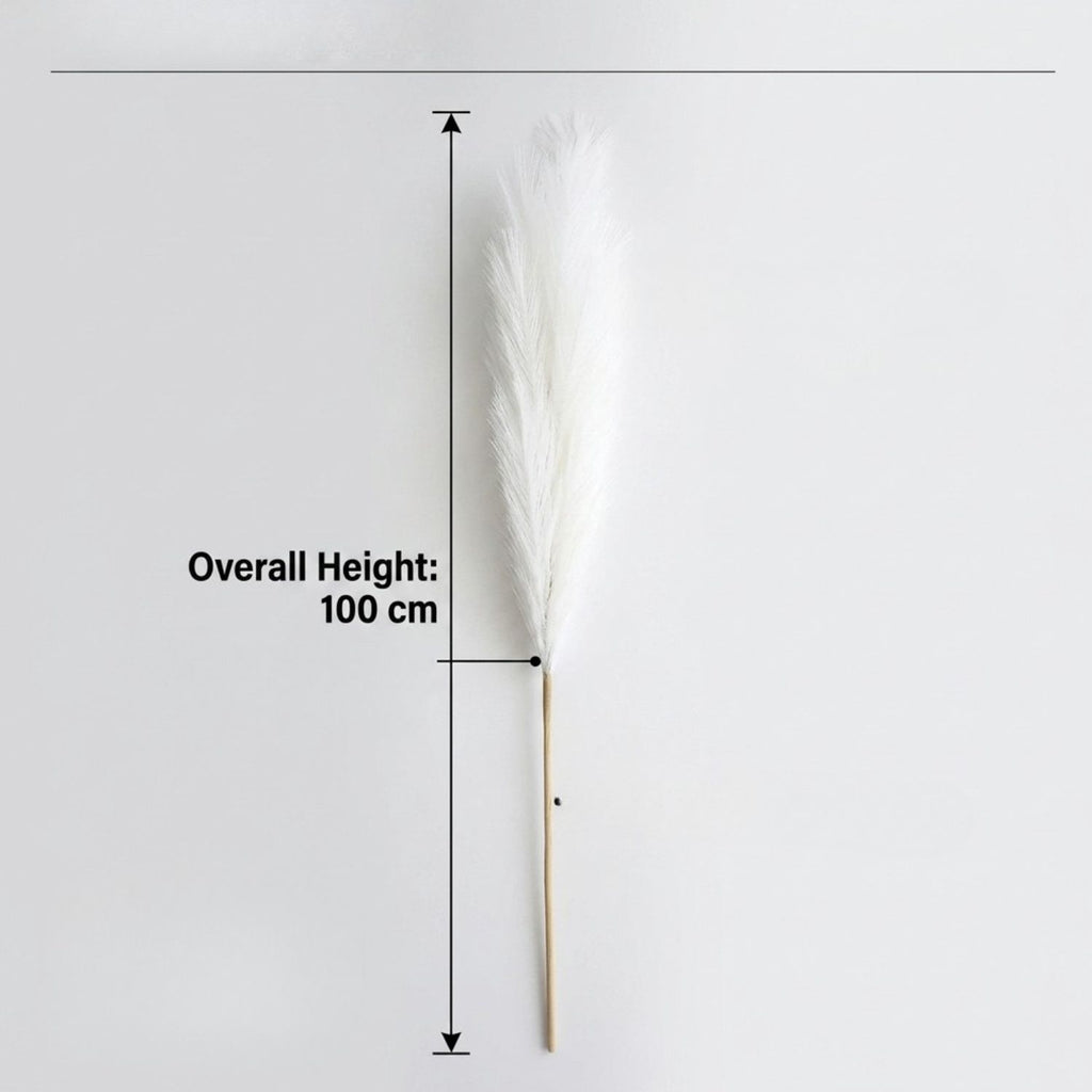 Set of 5 white pampas grass stems laid flat on white background