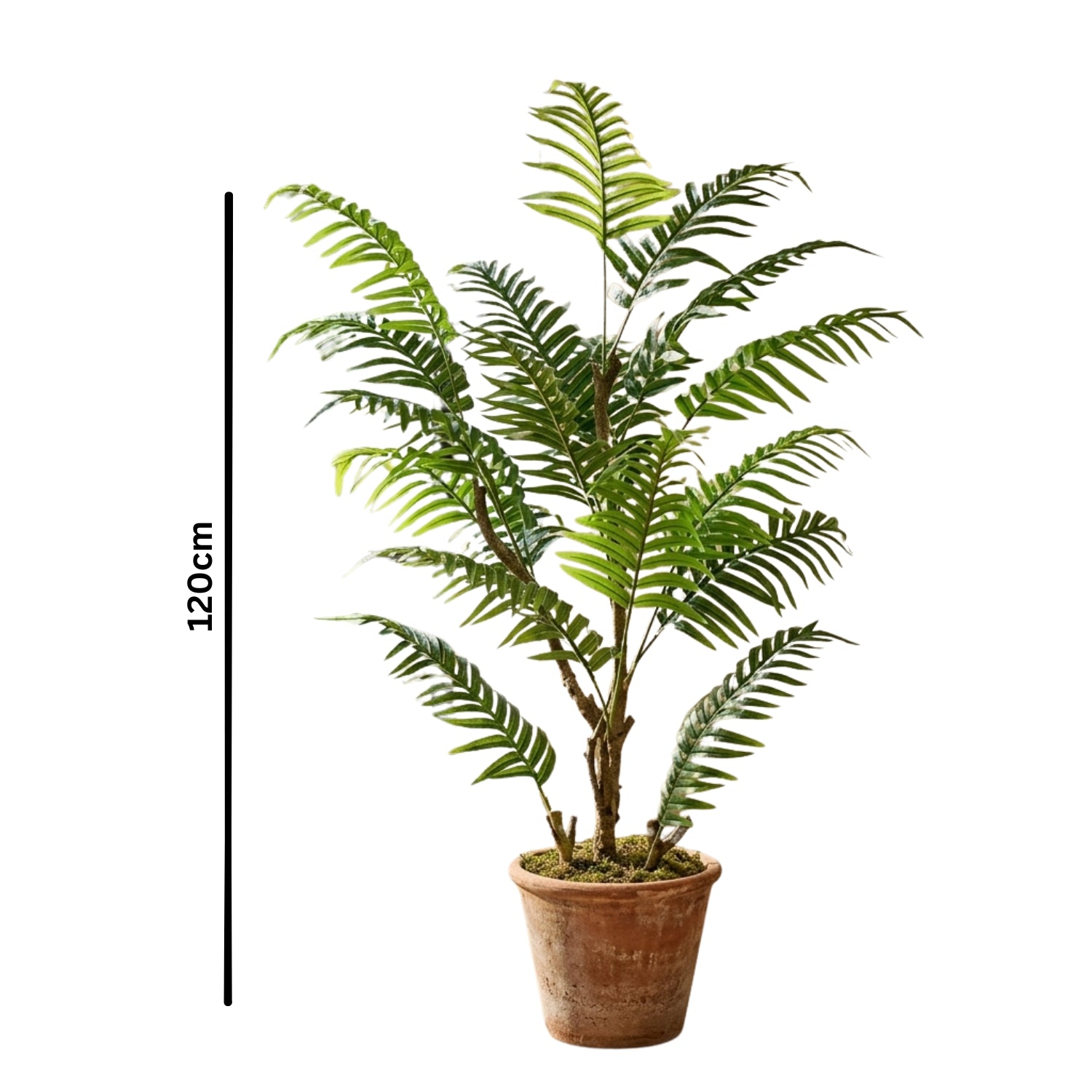 An artificial potted fern plant with green fronds and brown trunks in a terracotta pot, shown on a white background with a vertical 120cm height marker.