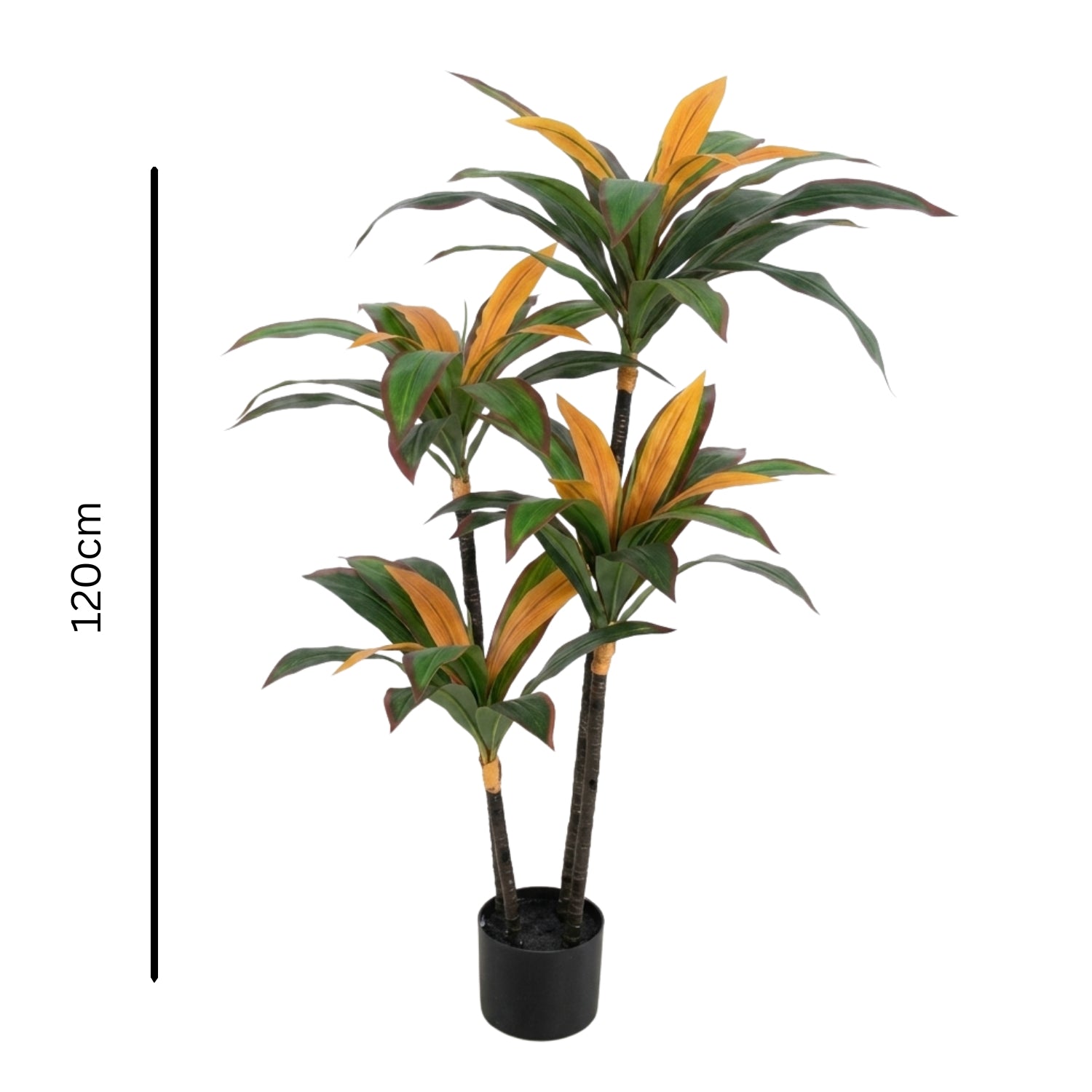 A potted Dracaena massangeana artificial plant with green and orange variegated leaves, shown on a white background with a vertical 120cm height measurement line on the left.