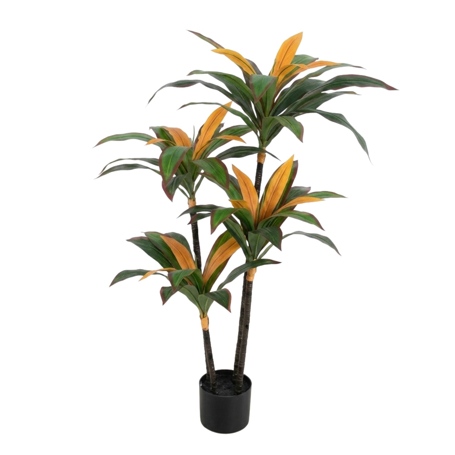 An artificial Dracaena massangeana plant with green and orange variegated leaves in a black plastic pot, isolated on a white background.