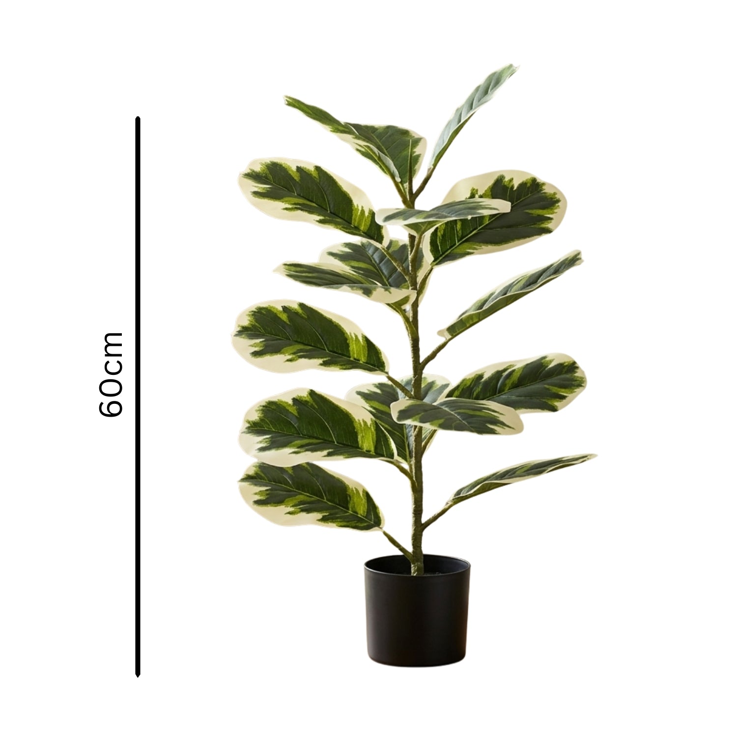 An artificial variegated fiddle-leaf fig plant in a black pot, shown against a white background with a vertical height marker indicating 60cm.