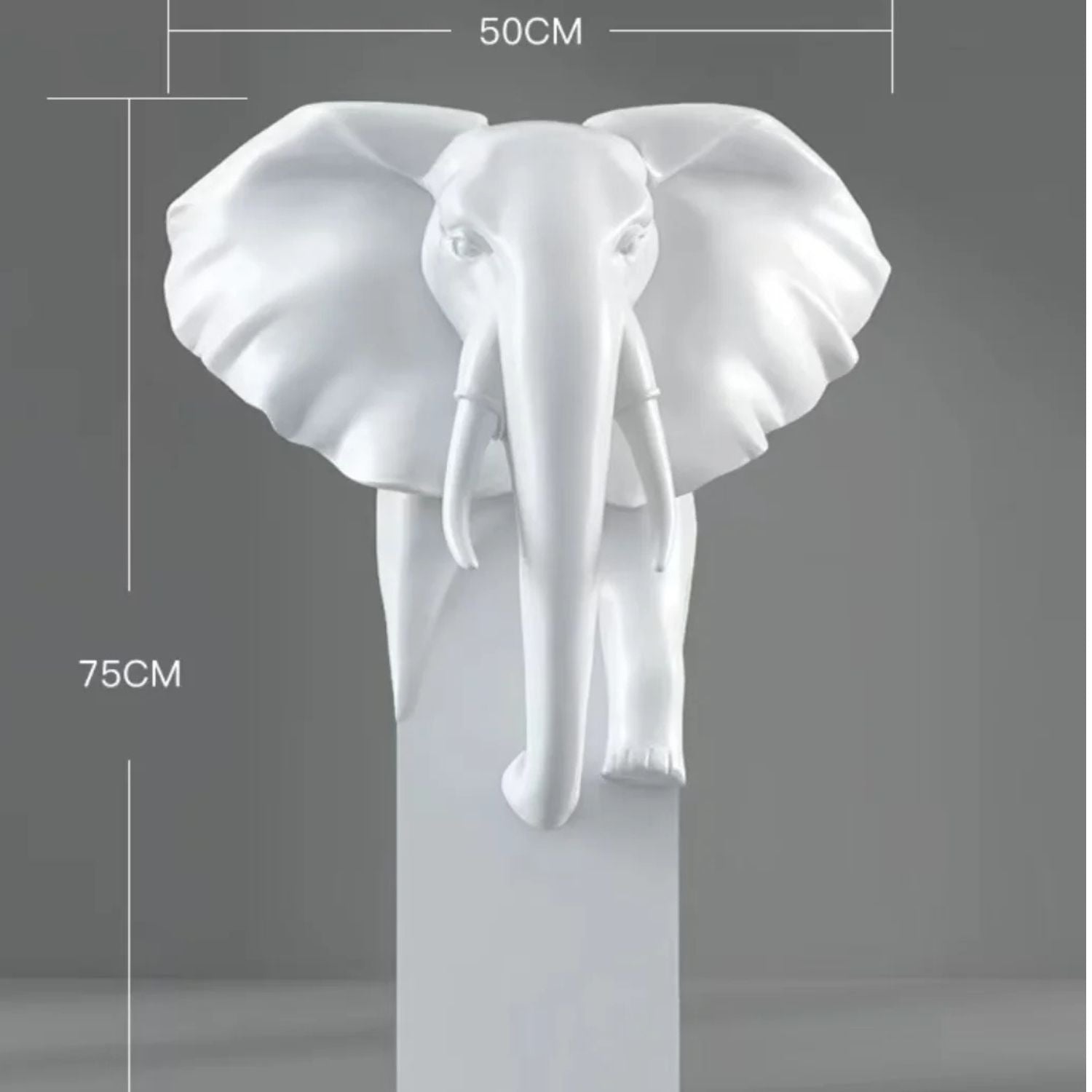 White elephant head wall sculpture mounted on a pedestal, shown with dimension markers indicating 50 cm width and 75 cm height against a gray background.