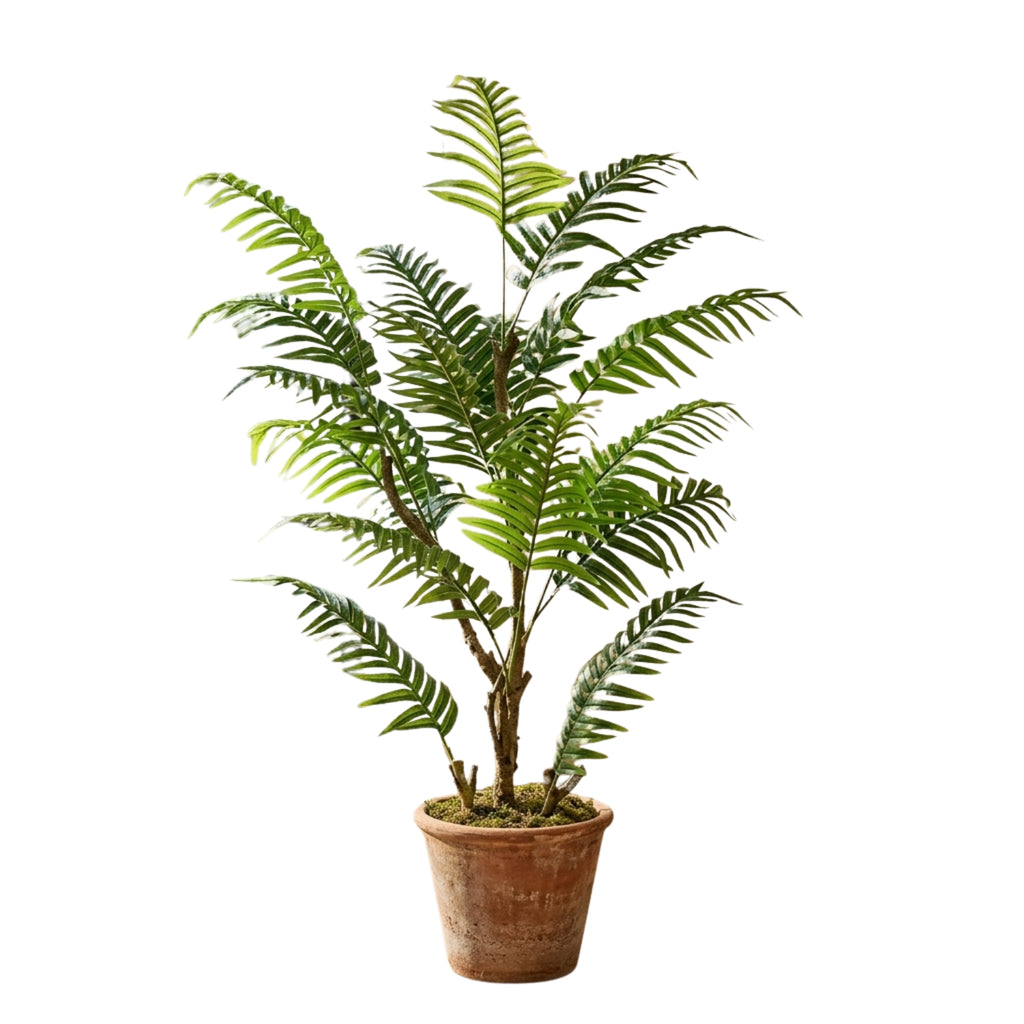 An artificial fern plant in a terracotta-colored plastic pot, shown against a solid white background.