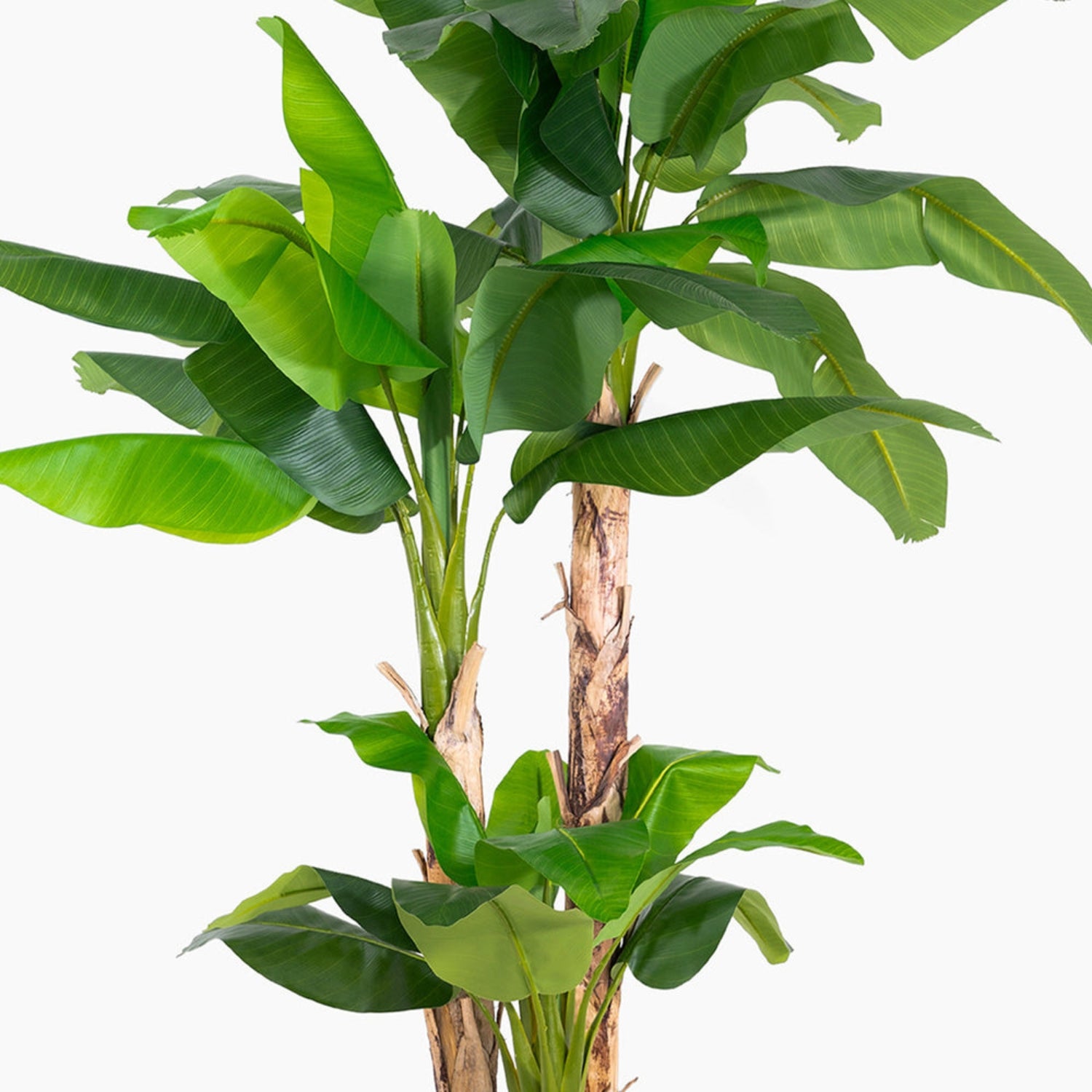 A tall artificial banana leaf plant with realistic green leaves and textured brown trunks, isolated on a solid white background.