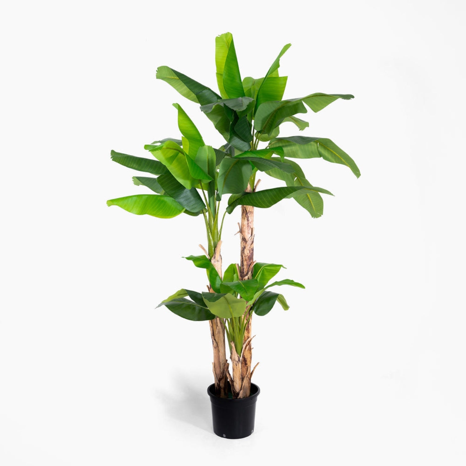 A tall artificial banana leaf plant with green leaves and textured brown trunks, potted in a black plastic nursery pot, shown against a plain white background.