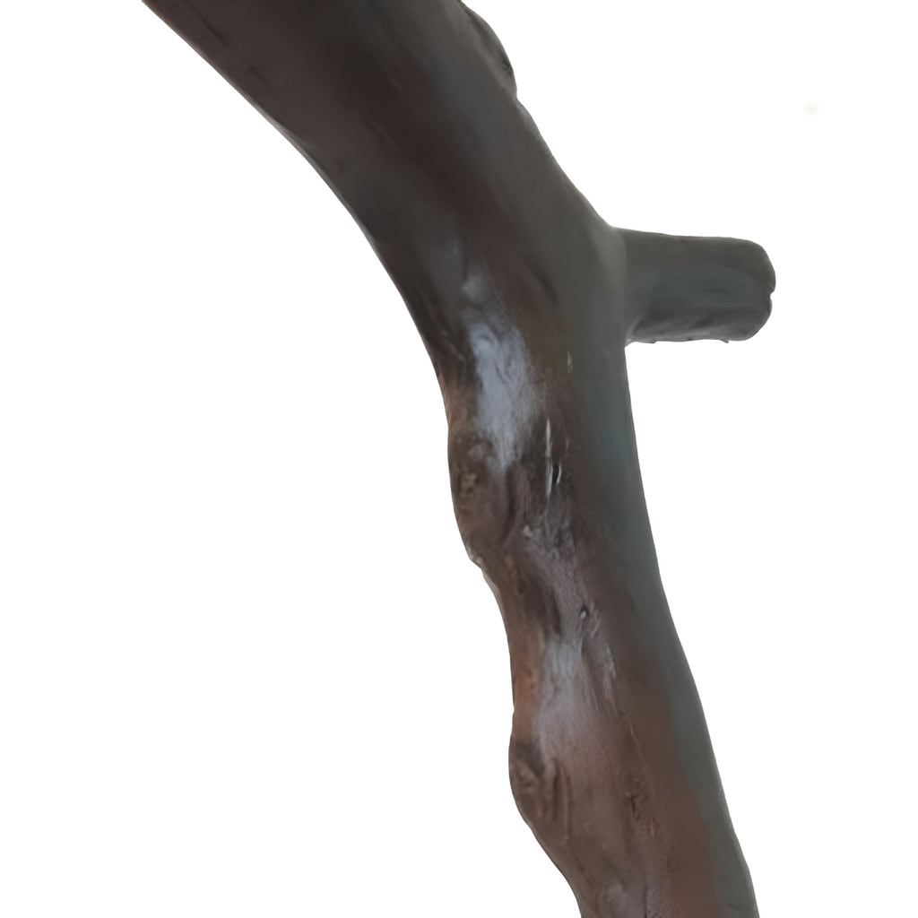 A close-up of a dark brown, textured branch or driftwood piece against a solid white background.