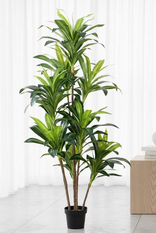 Artificial Dracaena interior editorial