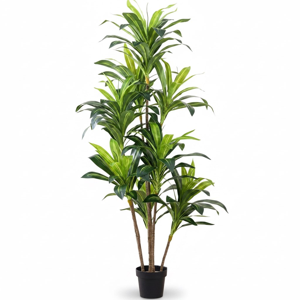 Artificial Dracaena white background